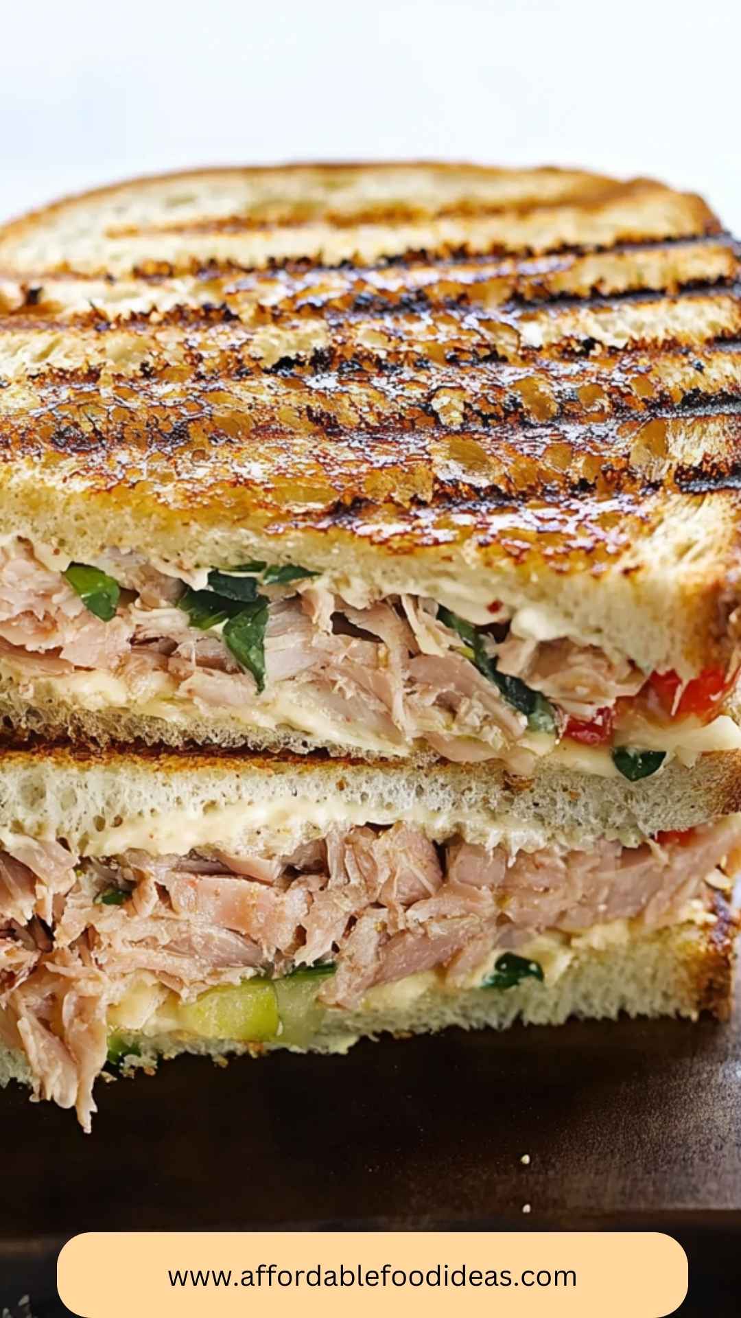 Best Grilled Tuna Sandwich Recipe