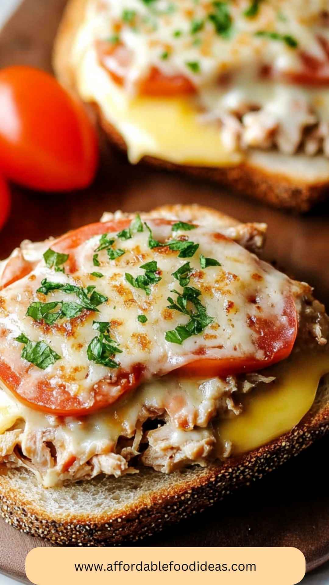 Best Open Faced Tuna Melt Sandwich Recipe