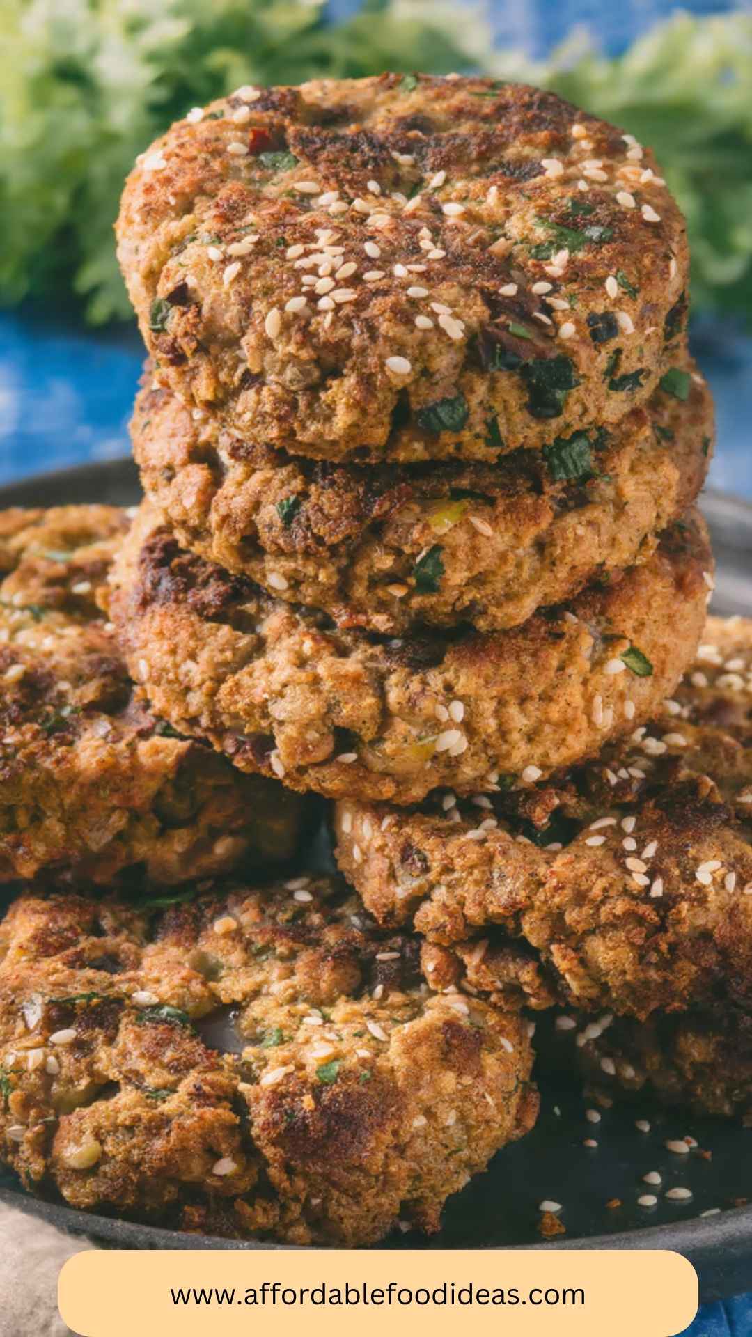 Best Easy Vegan Falafel Recipe Best Easy Vegan Falafel Recipe