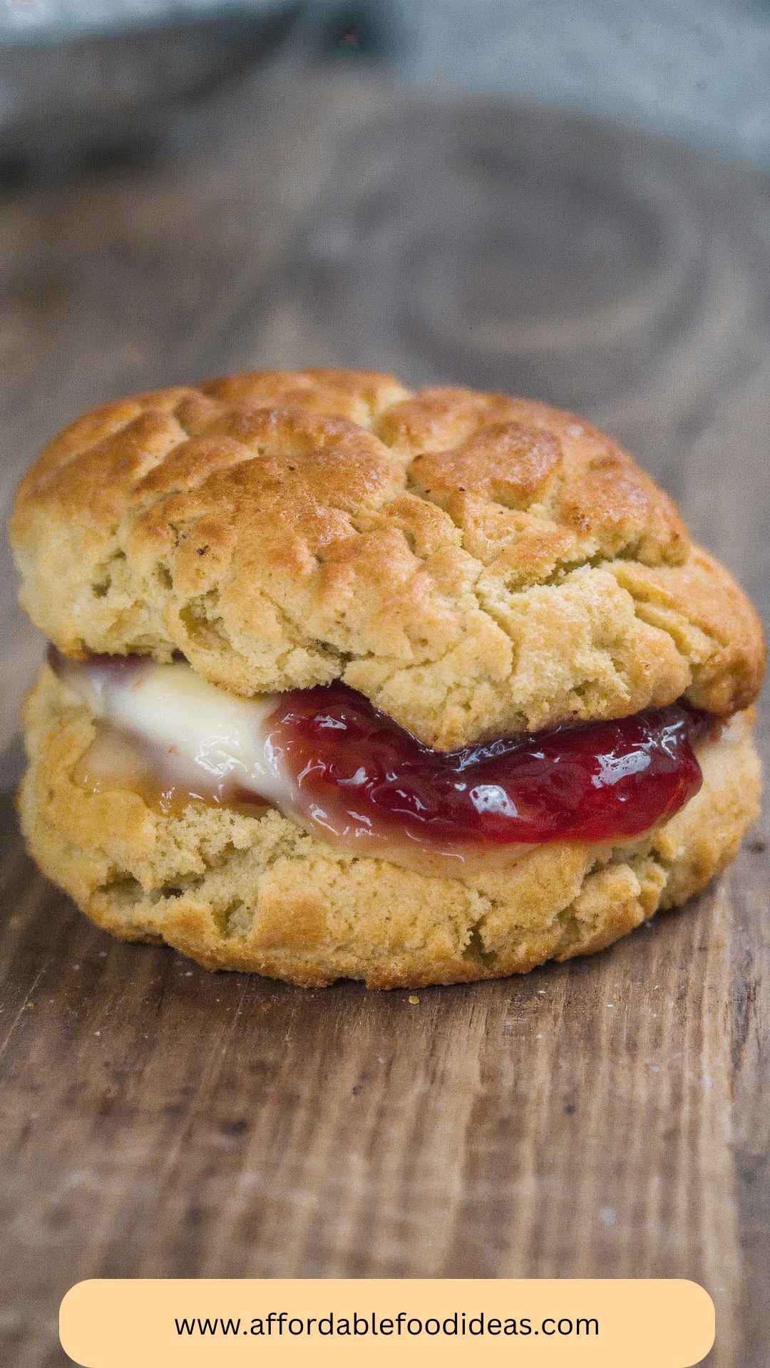 Best The Best Damn Vegan Biscuits Best The Best Damn Vegan Biscuits