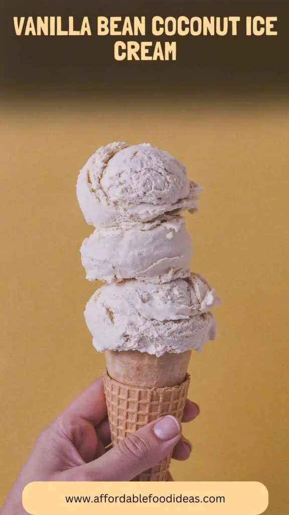Vanilla Bean Coconut Ice Cream