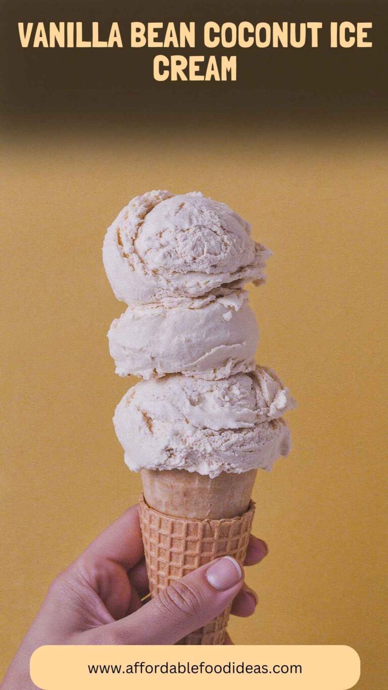 Vanilla Bean Coconut Ice Cream – Affordable Food Ideas