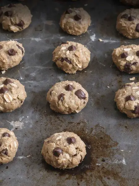 Coconut Chocolate Chip Almond Meal Cookies