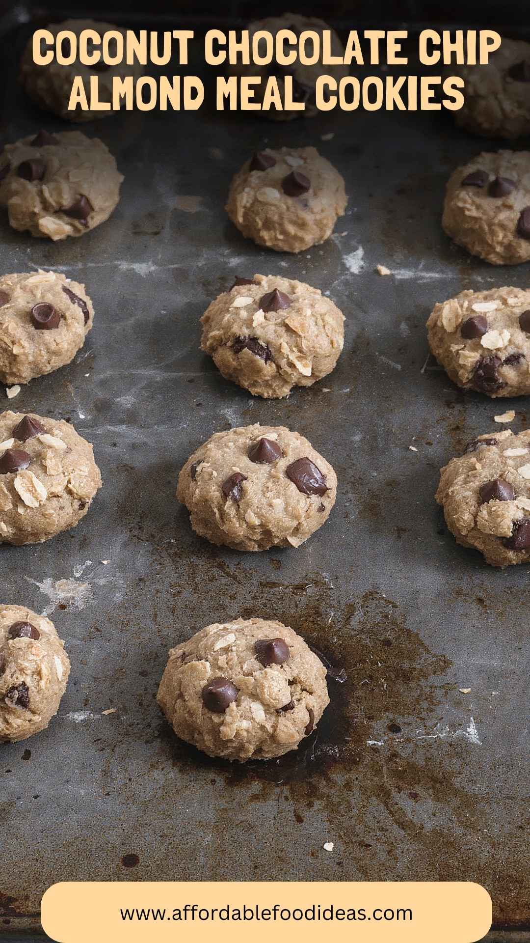 Coconut Chocolate Chip Almond Meal Cookies